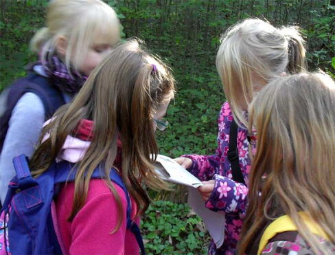 Waldrallye Kinder kucken
