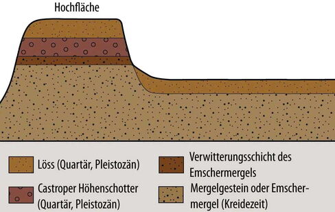 Geologie im NSG Tippelsberg/ Berger Mühle. Grafik: Biologische Station. Geologisches Profil