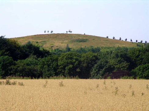 Tippelsberg, Bochum Blick zum Tippelsberg