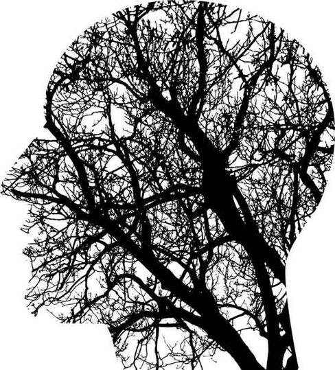 Profil GDJ pixabay pic Baum