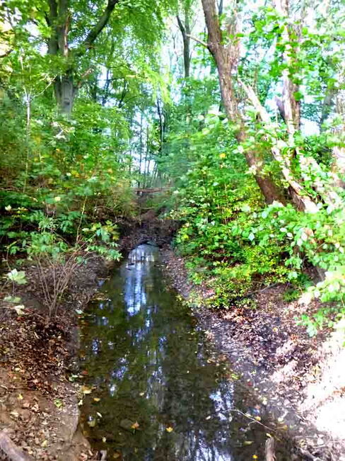 Oelbach