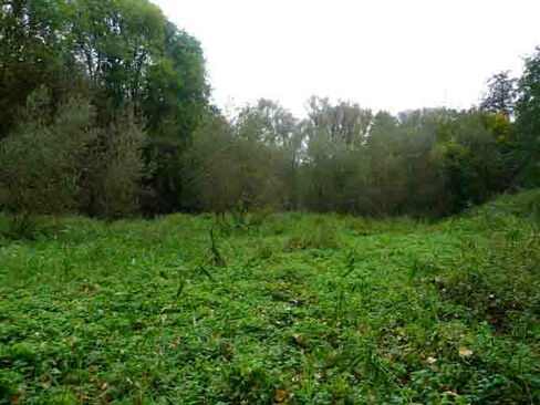 Teichgrund