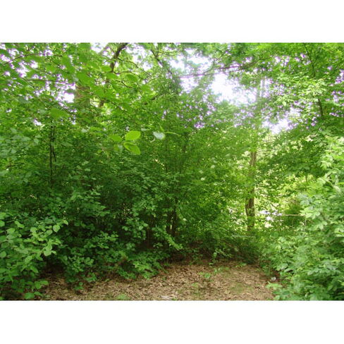 Wildnis Westenfeld Wildnis für Kinder