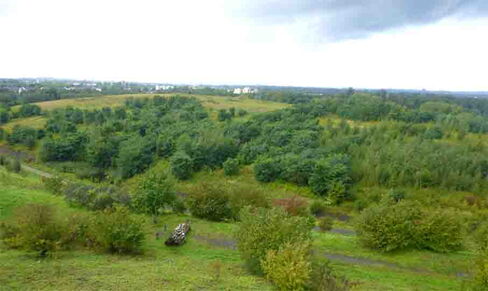 Thyssenhalde