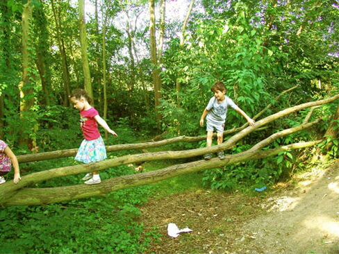 Wildnis für Kinder Wildnis für Kinder
