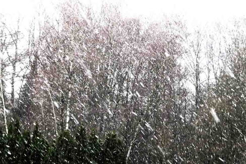 Schneegestöber im Januar