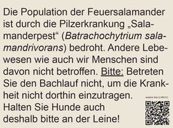 Kleiber