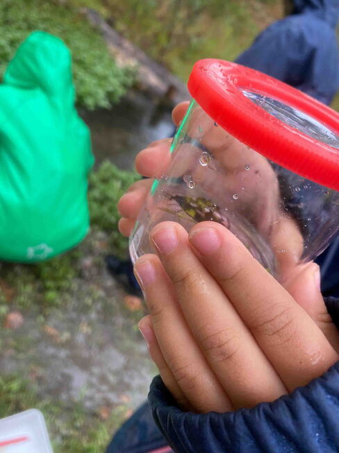 Becherlupe Becherlupe