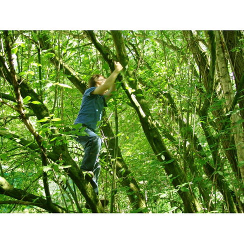 Wildnis für Kinder Wildnis für Kinder