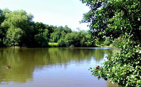 Stembergteiche Stemberger Teich