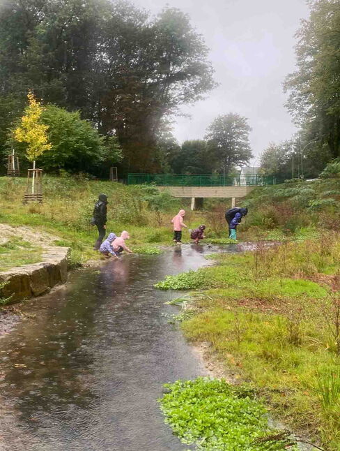 am Bach am Bach