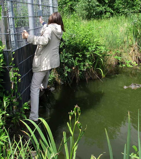über Wasser über Wasser