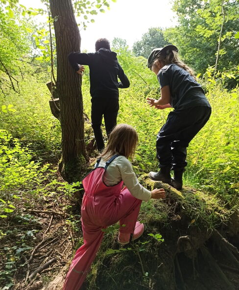 Wildnis Hiltrop Wildnis für Kinder