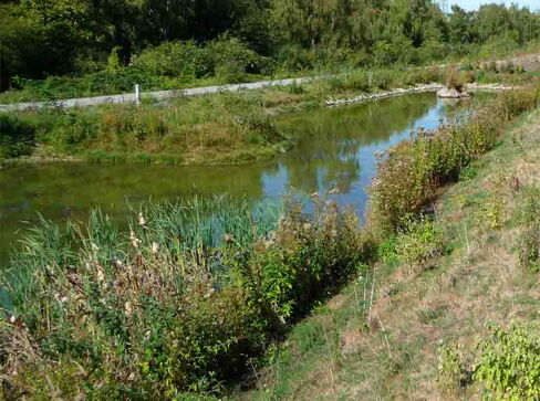 Teich