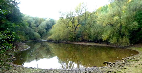 Teich Oberes Ölbachtal