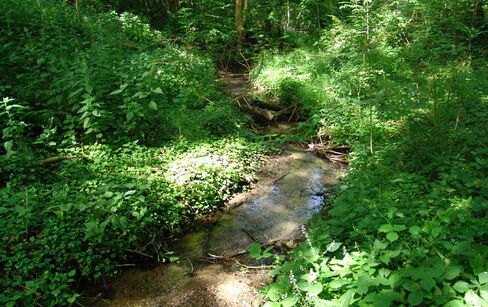 Dorneburger Mühlenbach, Bochum Dorneburger Mühlenbach