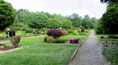 Friedhof auf der Wilbe