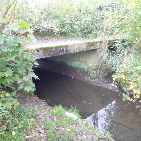 Brücke über Oelbach