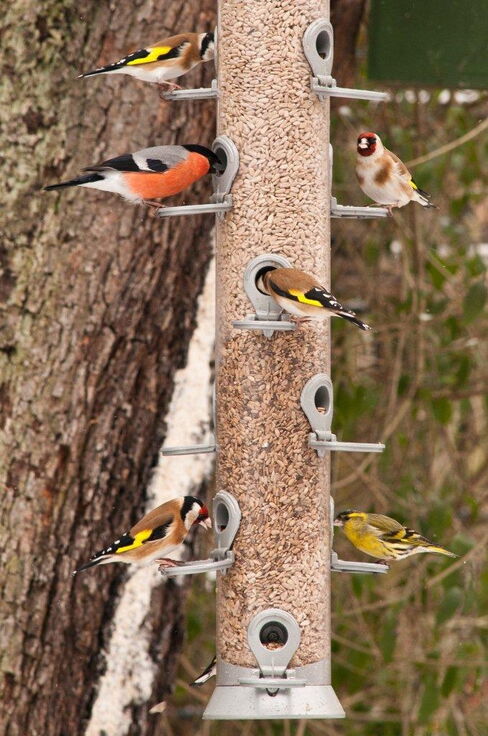 Futterröhre am Haus der Natur. Foto: Norbert Kilimann