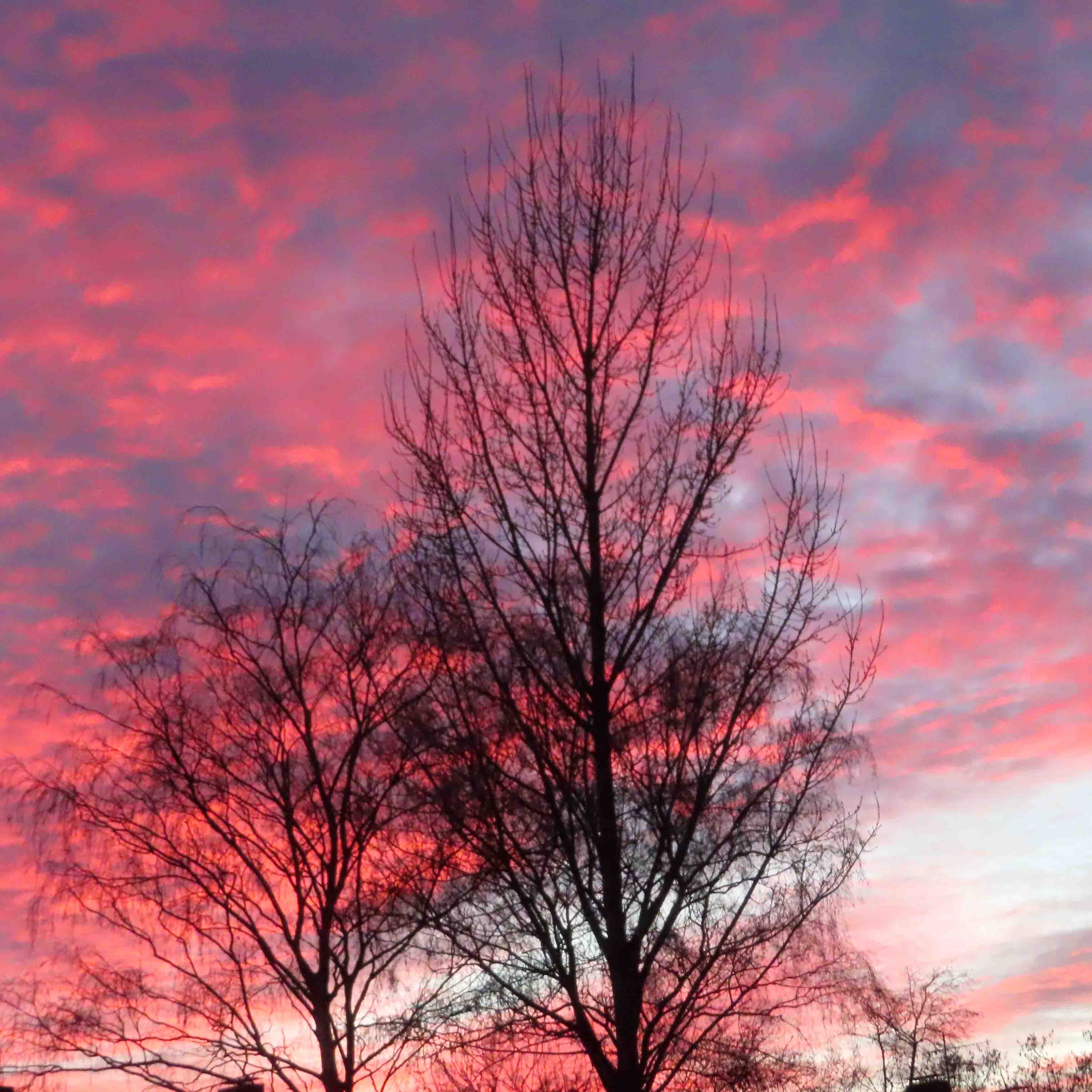 Abendrot