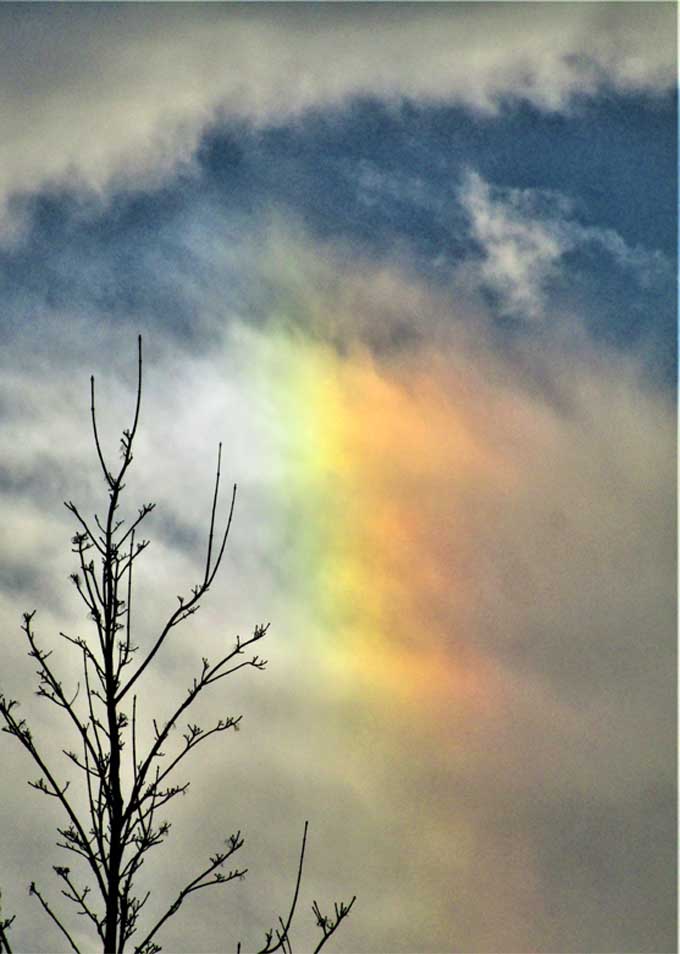 Feuerregenbogen?