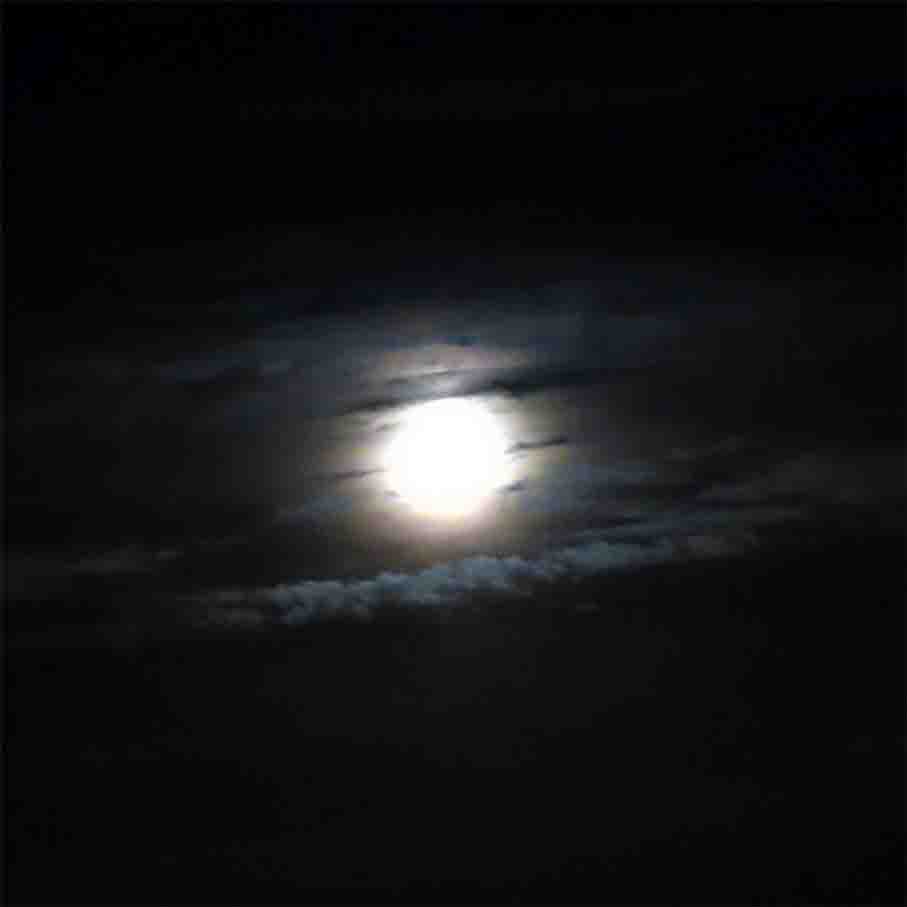 Mond