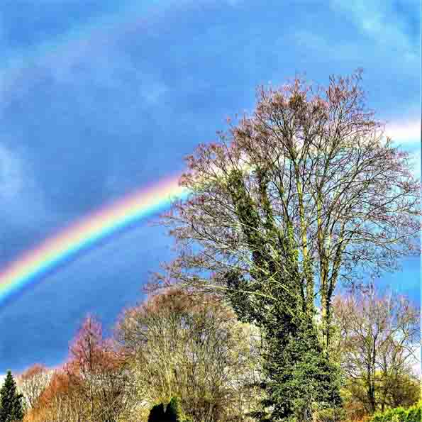 Regenbogen