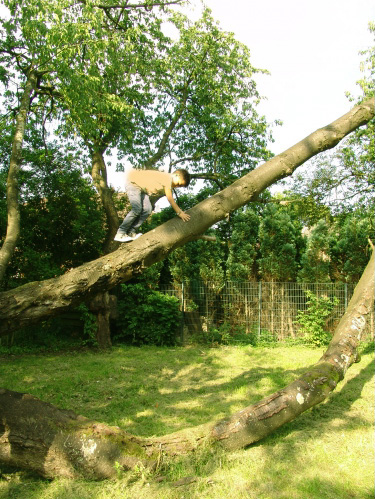 Wildnis für Kinder in Dahlhausen